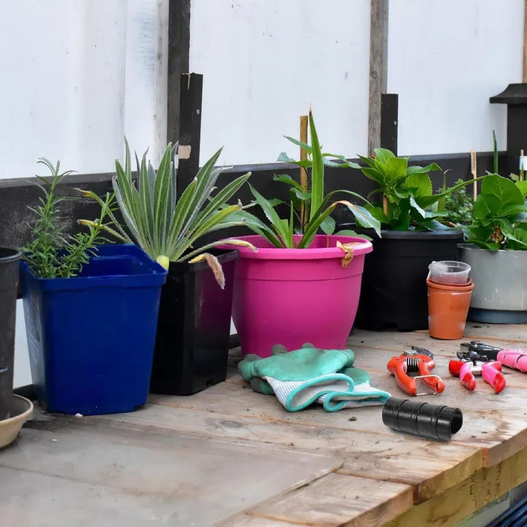 Alasum 30 Stück Teiliges Gewächshaus-klemmset aus Schwarzem Kunststoff Witterungsbeständig Rohrclips für Gartenbau Robuste Folienhalter für Gewächshausfolien Sonnenschutznetze und – Bild 7