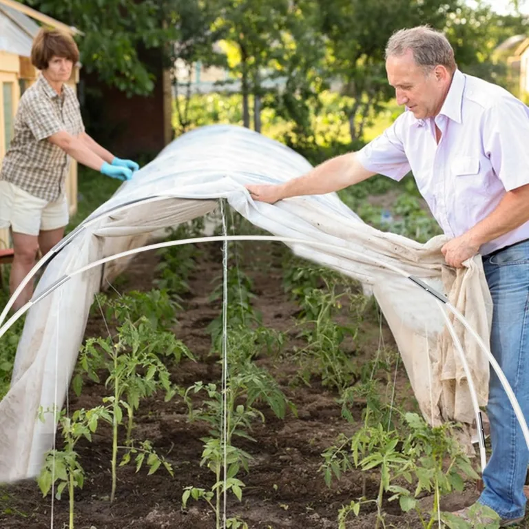 30 Stück Fiberglassstangen, 43cm Abnehmbaren Pflanztunnel Bögen, Folientunnel Foliengewächshaus Set Für Gartenvlies Und Gartenstützen Verwendet (B) – Bild 9