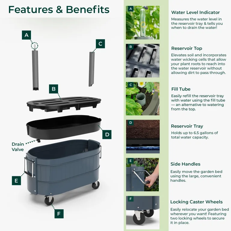 Permasteel selbstbewässerndes Gartenbeet, rollender Pflanztopf für Gemüse, Blumen, Kräuter und Obst, drinnen draußen, Laufräder, Blau – Bild 7