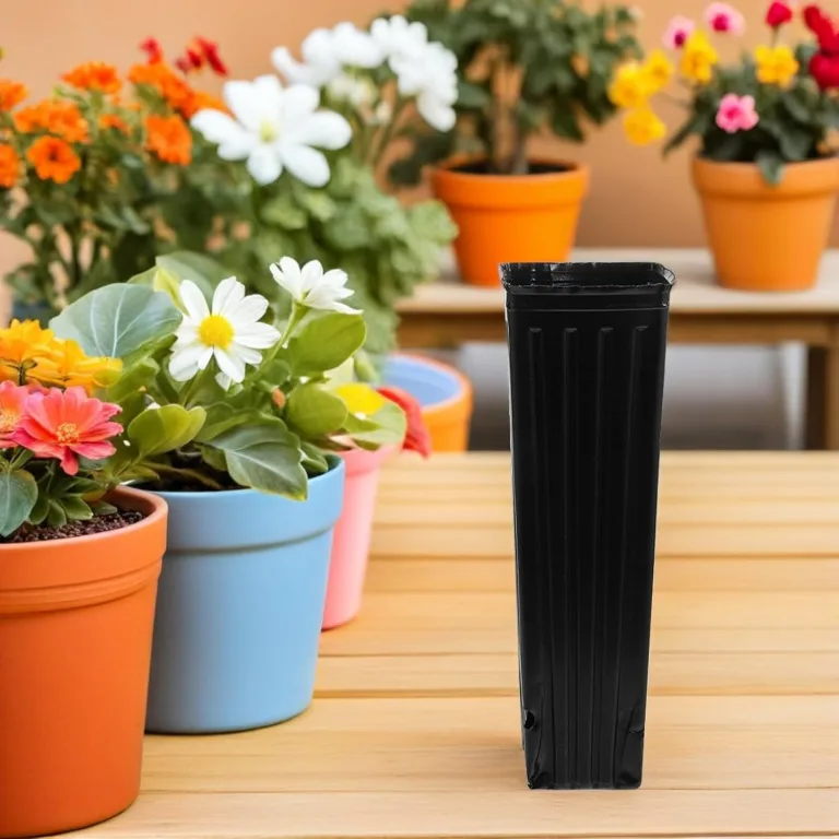 SEWACC 80stücke Tiefe Pflanztöpfe aus Kunststoff Hohe Baumtöpfe Schwarze Tiefe Pflanzgefäße mit Abflusslöchern für Innen und Außenbereich Anzuchttöpfe für Gewächshaus und Garten Töpfe – Bild 6