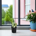 ifundom 50 Stück Kunststoff Pflanztöpfe mit Abflussloch 165cm Rund Langlebige Anzuchttöpfe für Garten und Gewächshaus - Thumbnail 5