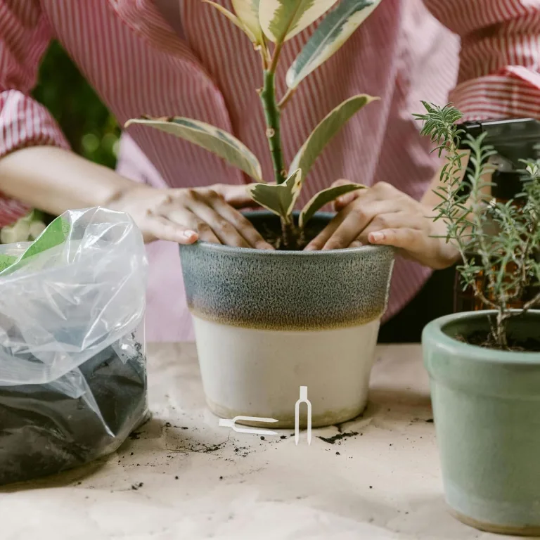 Transparentes Gartenpflanzen-befestigungsclip Dicke Kunststoff-pflanzenklammern mit Doppelstachel für Erdbeeren und Reben Robustes Fixierwerkzeug für Outdoor-Garten und Gewächshaus – Bild 6