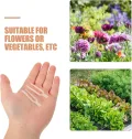 Transparentes Gartenpflanzen-befestigungsclip Dicke Kunststoff-pflanzenklammern mit Doppelstachel für Erdbeeren und Reben Robustes Fixierwerkzeug für Outdoor-Garten und Gewächshaus - Thumbnail 4