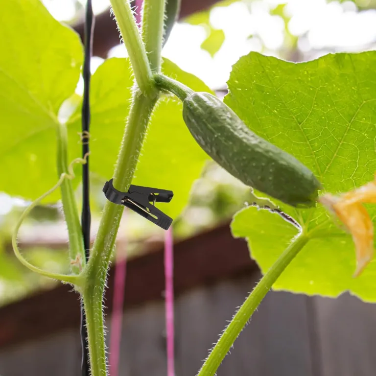 TOYANDONA 150 Stück Pflanzenclips Kunststoff Rankhilfe für Kletterpflanzen Wiederverwendbare Gartenbefestigung für Tomaten Gurken Weinreben Klammerdurchmesser Vielseitig für Gewächshaus und – Bild 7