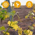 TOYANDONA 150 Stück Pflanzenclips Kunststoff Rankhilfe für Kletterpflanzen Wiederverwendbare Gartenbefestigung für Tomaten Gurken Weinreben Klammerdurchmesser Vielseitig für Gewächshaus und - Thumbnail 8