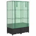 Hochbeet Gewächshaus 80x40x138 cm Schwarz Rattanoptik, Raised Garden Box mit Eisenrohr PE-Schutzplane Tomatenhaus Balkon Terrasse Garten - Thumbnail 2