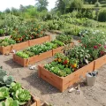 COSTWAY Hochbeet Gartenbeet Holz, 240 x 60 x 25 cm, Pflanzkasten für Gemüse, Blumen, Kräuter, Früchte, Blumenkasten Blumenbeet Kräuterbeet Pflanzbeet, für Hinterhof, Garten, Rasen (Orange) - Thumbnail 9