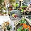 Kleines Gewächshaus - Pflanzen Winterschutz Zubehör | Kleines Terrassen Gewächshaus - Für Gärtner Züchter Anfänger Mit Garten Terrasse Balkon Garten Baumschule Deck - Thumbnail 3