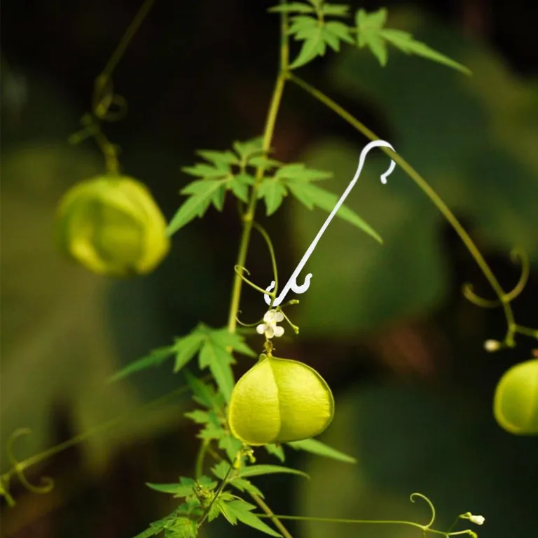 Yardenfun 850 Stück Tomatenpflanzen Haken aus Robustem Kunststoff 13cm lang Pflanzenstützhaken für Gurken Paprika Kletterpflanzen Weiß Gewächshaus Garten Zubehör – Bild 5
