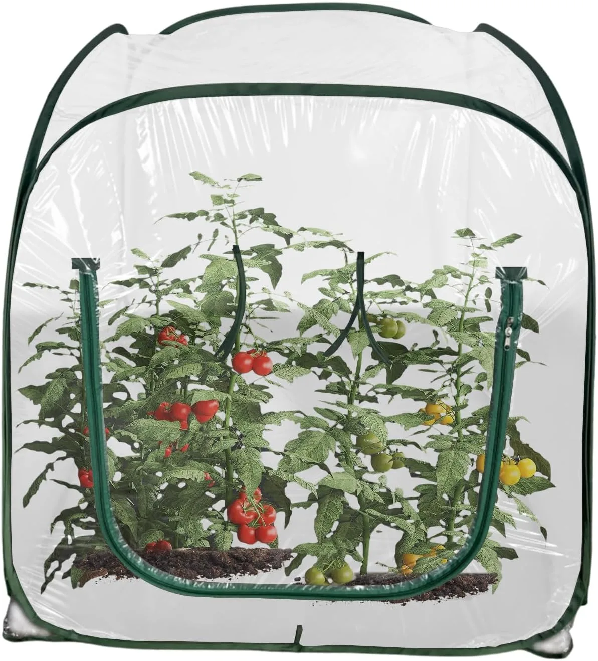 Gewächshäuser Im Außenbereich - Klappbares Tomatenhaus Mit Klarer PVC Abdeckung | Pflanzenzelt - Für Die Gartenarbeit Bei Kälte Und Zum Schutz Vor Frost Auf Dem Balkon Der Terrasse Sowie Im - Bild 1