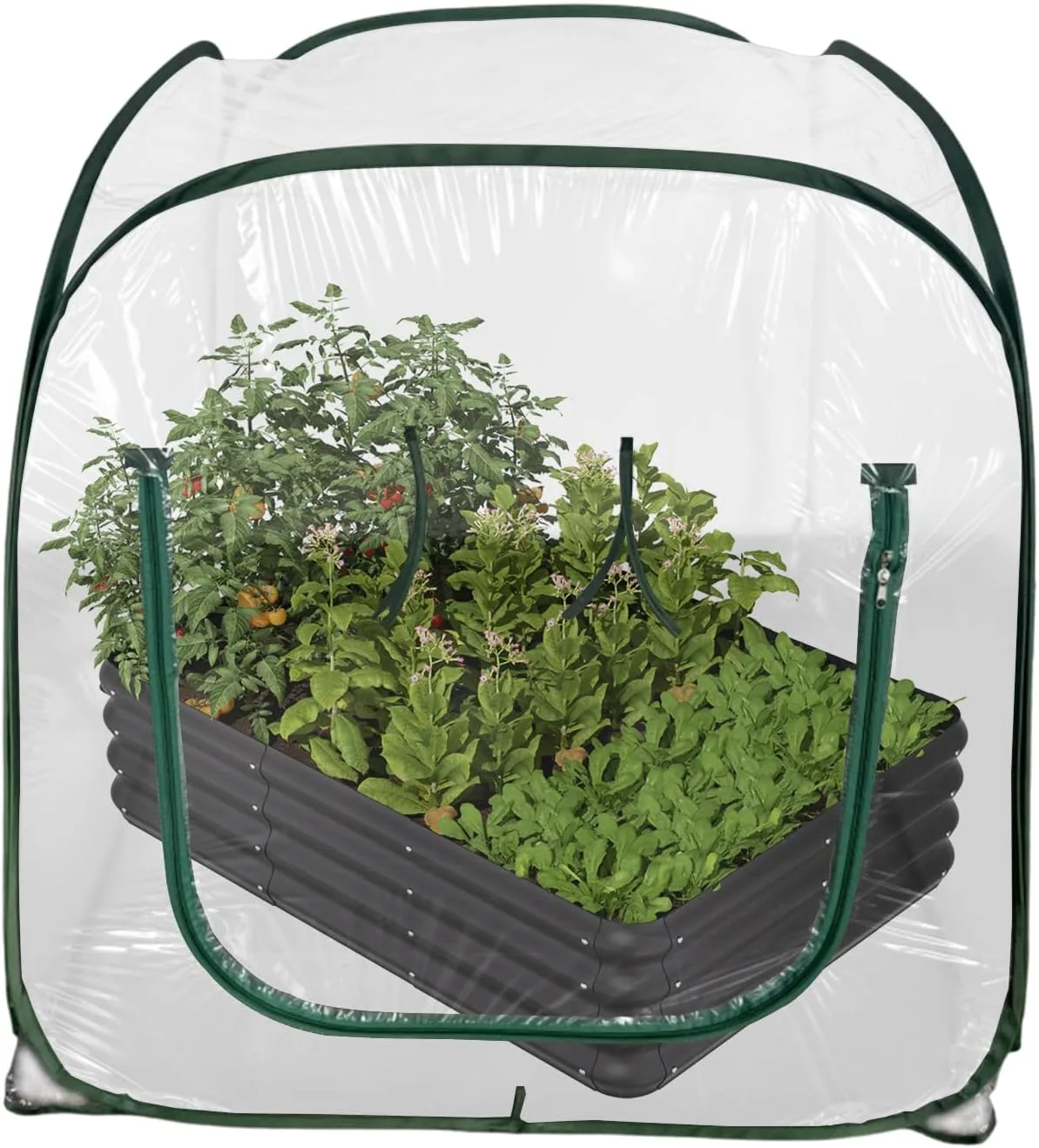 Gewächshäuser Für Den Außenbereich,Klappbares Tomatenhaus Mit Klarer PVC Abdeckung | Mini Gewächshaus | Für Blumentopf Garten Balkon Terrasse Kälte Frost Schutz - Bild 1