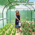 Outsunny Tunnel-Gewächshaus für den Garten, 3 x 3 x 2 m, mit aufrollbaren Türen und Fenstern, Gewächshaus für Gemüsegarten mit Struktur aus Stahl und PE-Abdeckung, für Gemüse, Blumen, Obst, UV-Schutz - Thumbnail 8