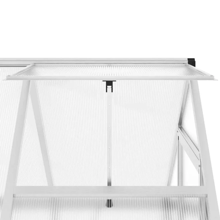 HUAKEHOM Gewächshaus mit Fundamentrahmen Pflanzenhaus mit Dachrinnensystem Flügeltür Treibhaus für Pflanzen Frühbeet Silbern 169x114x195 cm Alu – Bild 9