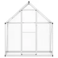 HUAKEHOM Gewächshaus mit Fundamentrahmen Pflanzenhaus mit Dachrinnensystem Flügeltür Treibhaus für Pflanzen Frühbeet Silbern 169x58x195cm Aluminimum - Thumbnail 3
