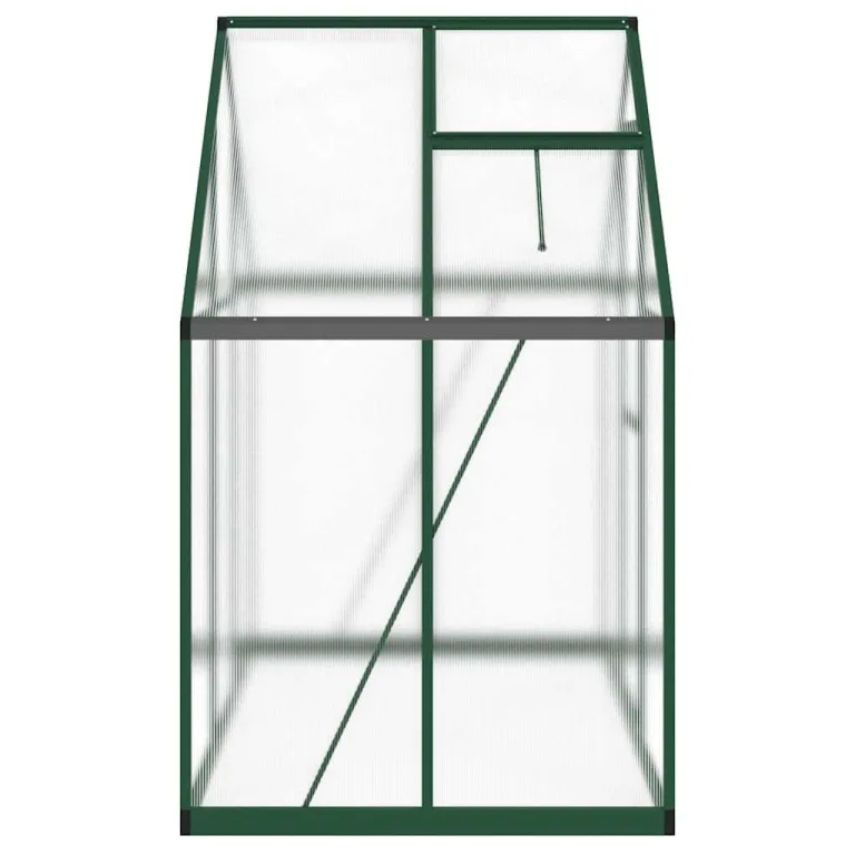 HUAKEHOM Gewächshaus mit Fundamentrahmen Pflanzenhaus mit Dachrinnensystem Flügeltür Treibhaus für Pflanzen Frühbeet Grün 169x114x195 cm Aluminimum – Bild 4