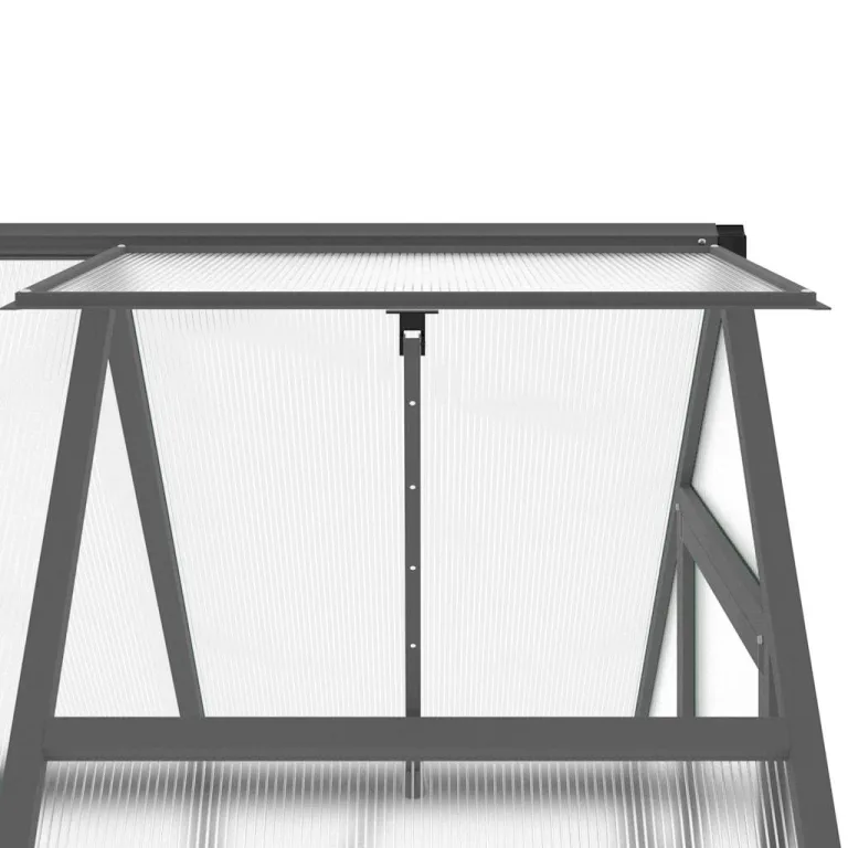 HUAKEHOM Gewächshaus mit Fundamentrahmen Pflanzenhaus mit Dachrinnensystem Flügeltür Treibhaus für Pflanzen Frühbeet Anthrazit 169x114x202 cm Alu – Bild 9