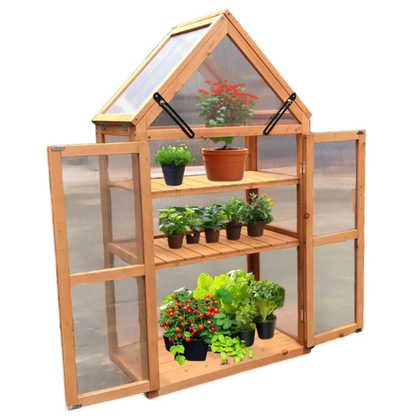Coemo Holz-Gewächshaus Jan – Stilvolles Design, 65x40x120 cm, Farbe Braun, Aufklappbare Türen und Dach, Winterschutz Gewächshaus -Wetterfestes Pflanzenhaus für Kräuter, Tomaten & Setzlinge - Bild 1