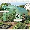 Sekey Gewächshaus Winterfest Foliengewächshaus verzinkt 4x2x2m - 8m² Folientunnel Stabil mit 2m Stehhöhe, Treibhaus, Tomatenhaus inkl. 2 Türen & 8 Fenster & Profi-Fixierungs-Set, 140g/m² PE-Folie – Bild 2