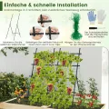 COSTWAY Gurke Rankhilfe Set, A-förmig, Rankgitter mit Gartennetz & Clips, Pflanzenhalter Metall, Pflanzenstütze für Kletterpflanzen Blumen Gemüse, Pflanzenspalier, 80 x 93 x 190 cm, Schwarz - Thumbnail 6