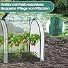 UV-beständig Winterfest Foliengewächshaus mit Aufrollbar Seitenwände ,Stahlrahmen Gewächshaus 270x90x90cm,Tomatenhaus für Gemüse Pflanzen Transparent – Bild 2