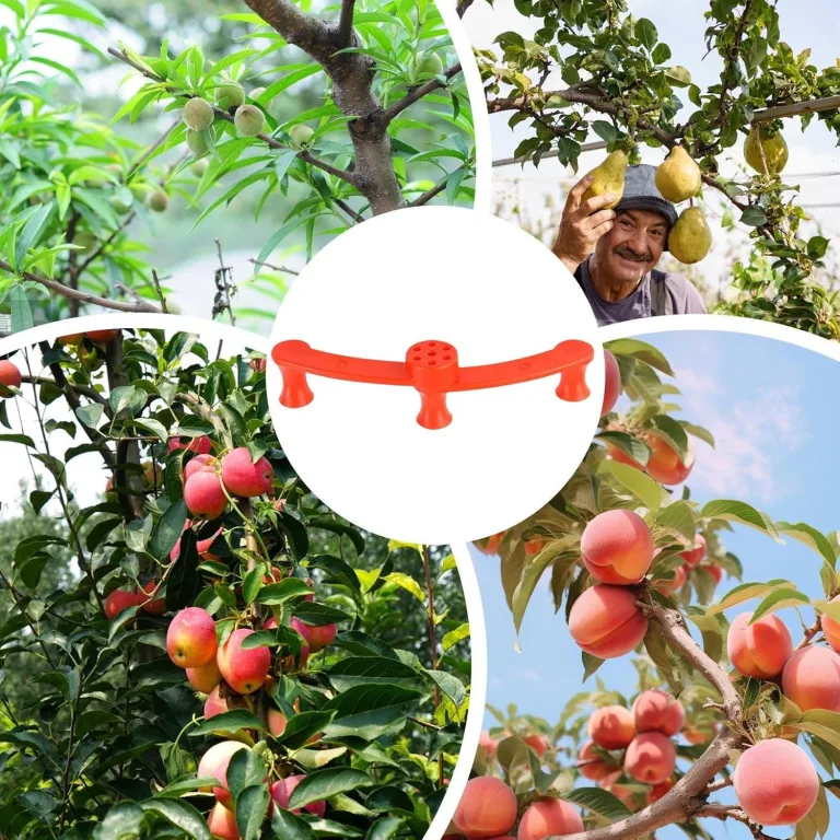 Pflanzklammern | 360 Grad Drehbarer Stützclip Für Stängel | 10 Stück Pflanzenstützklammern,Für Außen, Garten, Gewächshaus, Blumenbeet, Gemüse, Tomaten, Efeutute, Orchideen Und Innenraum – Bild 6