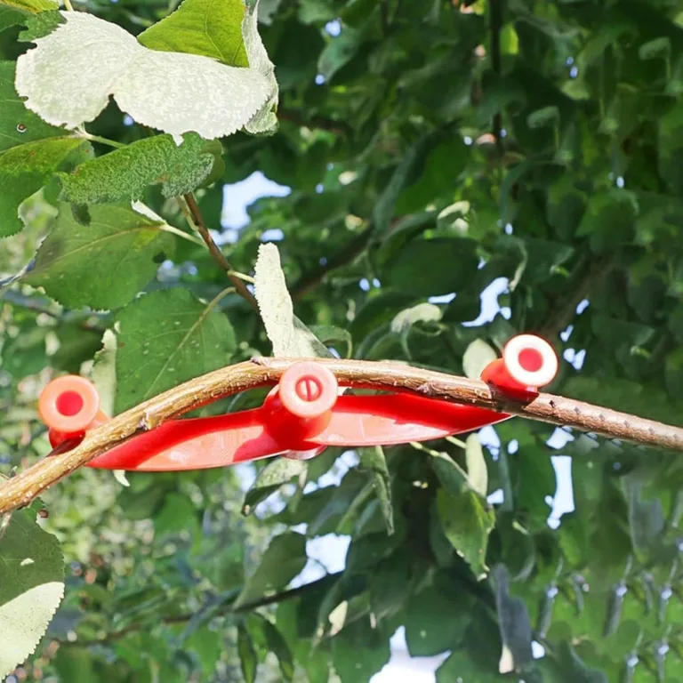 Pflanzenbieger-Clips – Flexibles rotierendes -Trainingsklemmen-Set, 10 Stück Pflanzenbefestigung, 360-Grad-Stützwerkzeug für Garten, Gewächshaus, Innen- und Außenbereich, Tomaten, Gemüse, – Bild 6
