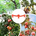 Pflanzenbieger,360 Grad Drehbare Verzweigungs Befestigungsklemmen | 10 Stück Low-Stress Stützclips,Für Innen Außen Garten Gewächshaus Beet Tomaten Orchideen - Thumbnail 5