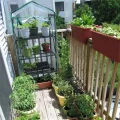 Tragbares Gewächshaus, 69x49x126cm Mini Gewächshaus Klein, Wiederverwendbares Warmhaus, Schutz vor Kälte, Hochwertiges Anzuchthaus Garten Balkon Stabil & Einfach zu Montieren - Thumbnail 2