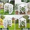 GarveeHome Gewächshaus Foliengewächshaus Begehbares Gartenhäuschen Mit Regal, Tomatenhaus Tomatengewächshaus, Folien Treibhaus Für Tomaten, Gemüse, Obst, Blumen – Bild 2
