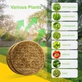 45er Jutte Microgreens Anzuchtschalen mit 500g/m², 95x95x5mm, Kresse Anzuchtschalen Set mit 3 Edelstahl Trays, Biologisch Abbaubares, Sprossen Anzuchtschale für Weizengras, Tomaten - Thumbnail 6