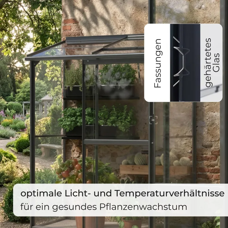 Gewächshaus Glas 0,9 m² Aluminium Rahmen mit Schiebetür | Premium Wand-Gewächshaus schwarz Temperaturkontrolle Aufstellfenster | Tomaten- und Anzuchtgewächshaus 130 x 68 x 173 cm (B x T x H) – Bild 5