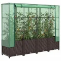Hochbeet mit Gewächshaus Aufsatz 160x40x138 cm Rattan Optik Frühbeet für Tomaten Gemüse Kräuter, Stabiles PP Beet mit Eisenrahmen & Wasserdichter PE Abdeckung für Garten Balkon Terrasse - Thumbnail 1