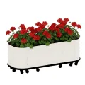 Gartenbogen Rankhilfe aus Metall für Kletterpflanzen – Stabiler Rosenbogen Garten, Rankbogen für Rosen, Clematis & Gemüse – Hochzeitsbogen, Ballonbogen, Foto Hintergrund für Party & Hochbeet, 180cm - Thumbnail 8