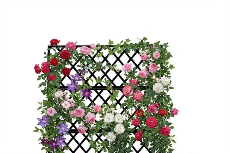 Verzinktes Stahl Hochbeet mit Rankgitter, Pflanzkasten mit Feststellbaren Rollen, Drainagelöchern & Sichtschutz – Garten Hochbeet für Gemüse, Kletterpflanzen, Terrasse, Balkon, 89x180cm, Schwarz – Bild 4
