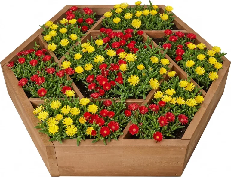 Multi Hochbeet mit 7 Pflanzkästen sechseckig aus Holz für Garten Balkon Terrasse, Kräuterbeet-Rahmen Pflanzbeet Blumenbeet niedrig, 100 x 100 x 18 cm, braun – Bild 1
