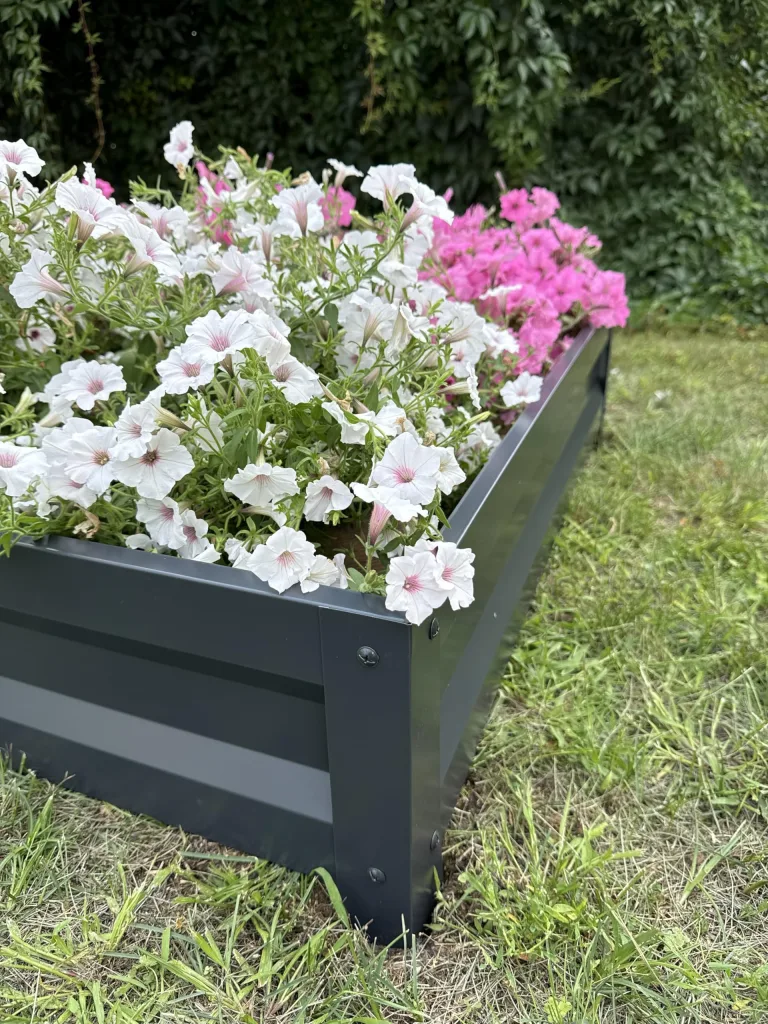 Botanic Hochbeet Metall 200x100x20 cm, verzinkter Stahl, wetterfest & rostfrei, Metallhochbeet Anthrazit mit Bodenankern, stabiles Gartenbeet für Gemüse, Kräuter und Blumen – Bild 6