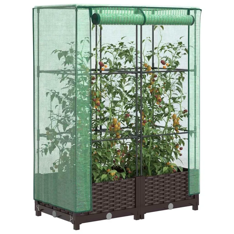 Hochbeet mit Gewächshaus Aufsatz 80x40x123 cm Rattan Optik Frühbeet für Tomaten Gemüse Kräuter, Stabiles PP Beet mit Eisenrahmen & Wasserdichter PE Abdeckung für Garten Balkon Terrasse – Bild 1