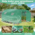 Gewächshaus 3x6 m groß, Foliengewächshaus mit 6 Fenstern & Tür, verzinkter Stahlrahmen, UV-beständige Abdeckung, Tomatenhaus für Pflanzen & Gemüse - Thumbnail 8