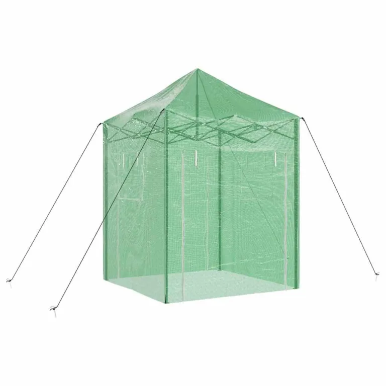 Gewächshaus mit Pop-up-Rahmen Grün Eisen 200 x 200 x 300 cm, faltbares Treibhaus für Garten Terrasse, Pflanzenhaus mit Polyethylen Folie, Anzucht, Überwinterung, Tomatenzelt, Frühbeet – Bild 3