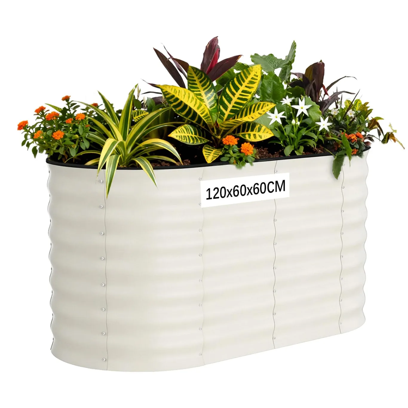 Hochbeet Metall 120x60x60CM—Oval, Hochbeete Für Garten Und Gemüsegarten, Mit Schnittschutzleiste, Gemüse & Pflanzen, Ideal Für Gemüse, Kräuter & Blumen,Beige - Bild 1