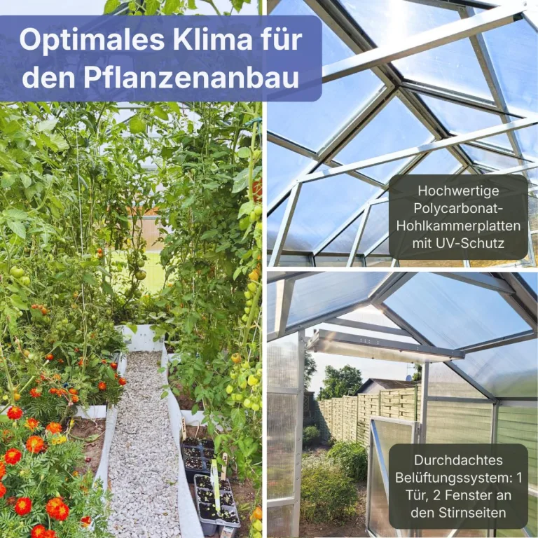 Stahl Gewächshaus Comfort 200x400x220cm mit Fundament | UV-beständige 4 mm Hohlkammerplatten | Automatischer Fensteröffner inkl. | Winterfestes Tomatenhaus & Treibhaus für Garten – Bild 3