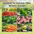 Hochbeet Metall 190x90x64 cm, Hochbeete aus Verzinktes Stahl, Wetterfest, Rostgeschützt, Sicherheitskante, Offener Boden, Pflanzkasten für Garten, Blumen, Gemüse & Kräuter, Anthrazit - Thumbnail 10