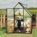 Aluminium Gewächshaus 6x8FT mit Fundamentrahmen & Belüftungsfenster, robustes Tomatenhaus wetterfest & rostfrei ideales Pflanzen- und Gemüsehaus für ganzjährige Anzucht Treibhaus 230x180x195cm - Thumbnail 8
