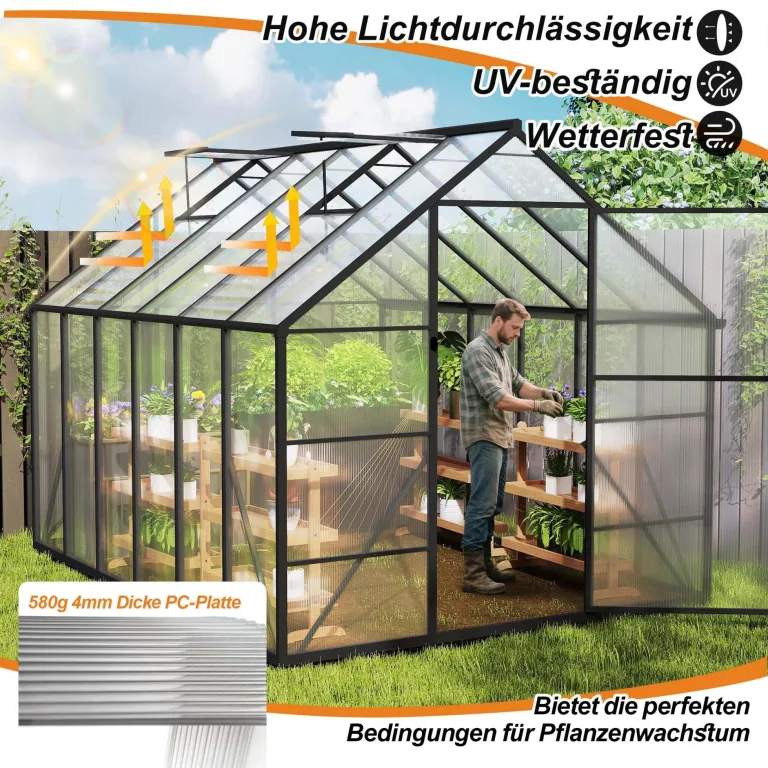 Aluminium Gewächshaus 8x10FT mit Fundamentrahmen & Dachfenster, extra stabiles Tomatenhaus wetterfest & rostfrei, großes Pflanzenhaus für Gemüse- und Pflanzenanzucht, Treibhaus 310x250x205cm – Bild 6