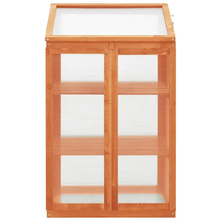 Holz-Gewächshaus Tannenholz 60x45x100 cm mit PC-Platten und 2 Regalen, Klappdeckel für einfaches Gießen, stabiles Garten-Gewächshaus für Pflanzen und Kräuter – Bild 3