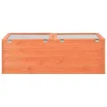 Frühbeet Holz Gewächshaus 100x50x34 cm mit PC-Platte, wasserfestes Pflanzhaus für Gemüse, Kräuter, Blumen, Anzuchthaus mit Belüftung und Frostschutz für Garten, Terrasse, Balkon - Thumbnail 5