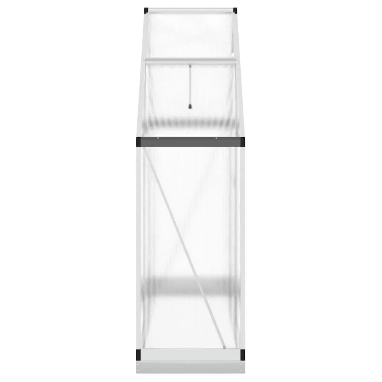 Gewächshaus mit Fundamentrahmen silbern, Aluminium 169x58x202 cm, Polycarbonat Treibhaus für Pflanzenhaus, Gemüseanbau, Tomatenhaus, Wetterfest, Balkon und Terrasse – Bild 3