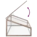 Gewächshaus Tannenholz 110x56x39 cm Grau, Frühling Pflanzenschutz, Holzgewächshaus klein mit Klappdeckel für Pflanzen, Kräuter, Gemüse und Blumen - Thumbnail 4