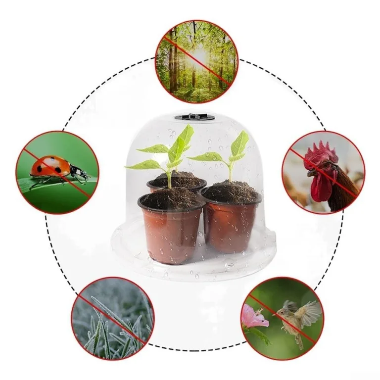 Transparente Pflanzenhaube 5er Set aus Dickem PET Material, für Mini Gewächshaus für Töpfe mit Drehbaren Luftschlitzen, Verstellbare Anzuchthaube zum Schutz von Keimlingen und Stecklingen – Bild 2