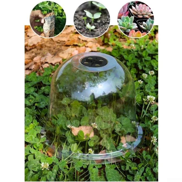 Transparente Pflanzenhaube 5er Set aus Dickem PET Material, für Mini Gewächshaus für Töpfe mit Drehbaren Luftschlitzen, Verstellbare Anzuchthaube zum Schutz von Keimlingen und Stecklingen – Bild 6
